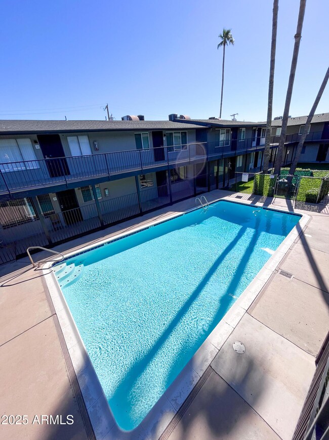 241 E 1st Ave unit 10, Mesa, AZ 85210 - photo 6