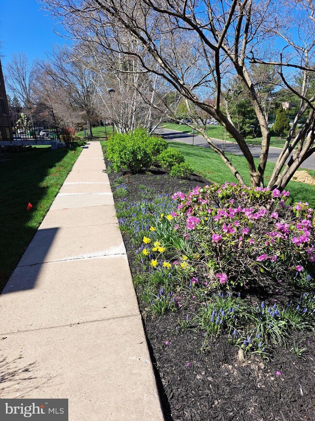 89 Oakridge Dr unit 89, Langhorne, PA 19047 - photo 3