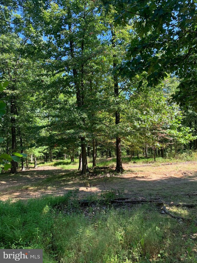 1 Black Oak Rd, Warfordsburg, PA 17267 - photo 4