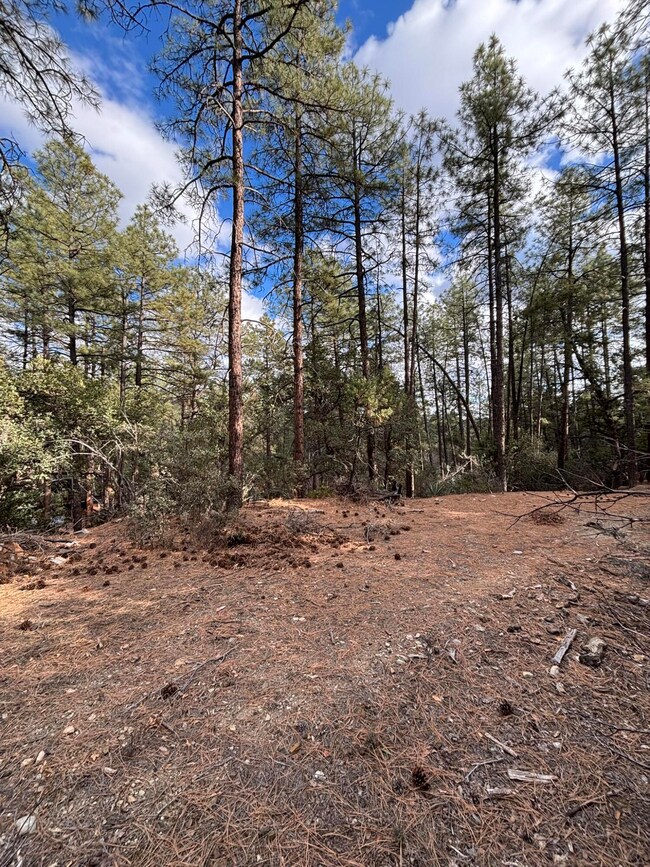 398 B & C Apache Trail, Pine, AZ 85544 - photo 5