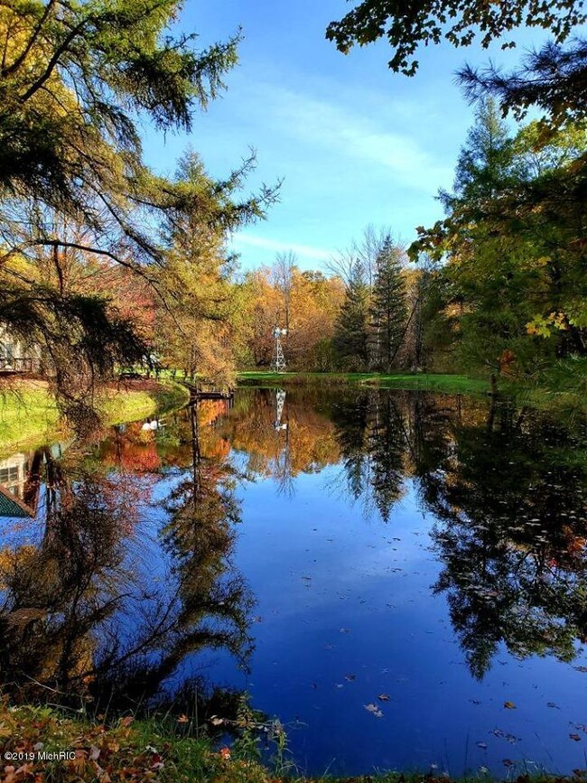 pond2