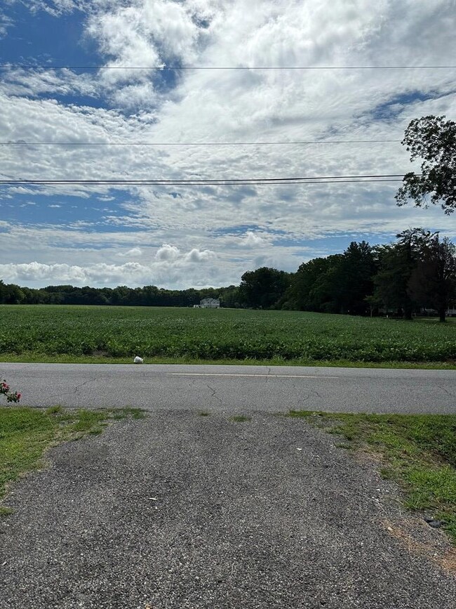 Driveway looking onto Seaside Rd