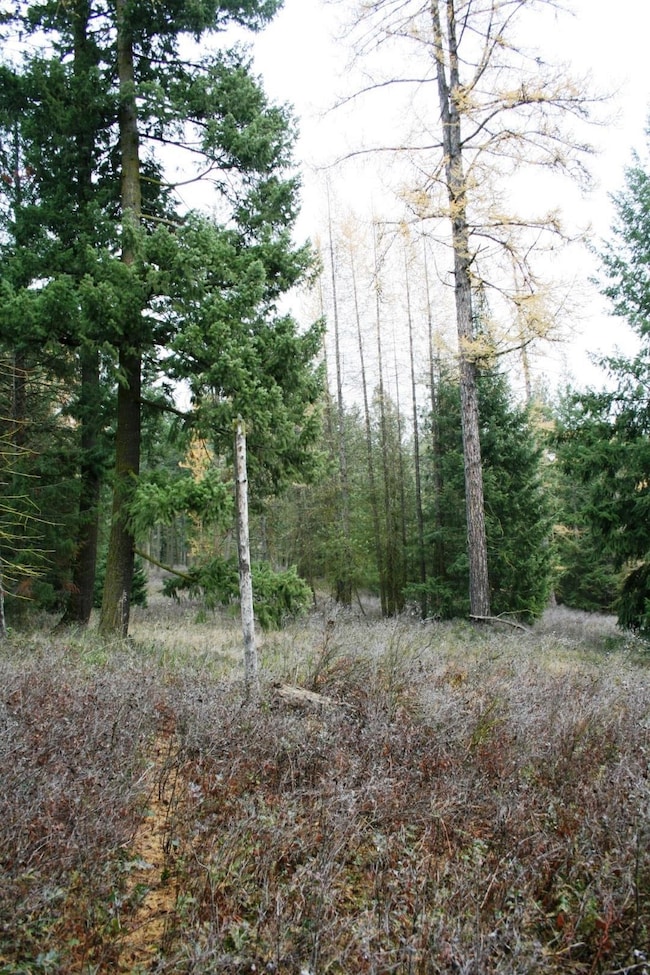 00 Dahl Lot 7 Rd unit Lot 7, Deer Park, WA 99006 - photo 2