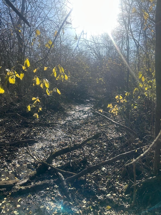 TBD 438th St, Harris, MN 55032 - photo 6