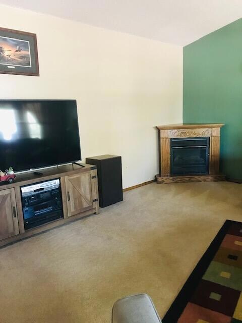 289 Bull Run Ln, Kimberling City, MO 65686 - photo 3