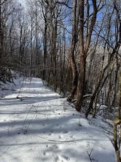 18N Bear Paw Rd, Jasper, GA 30143 - photo 7