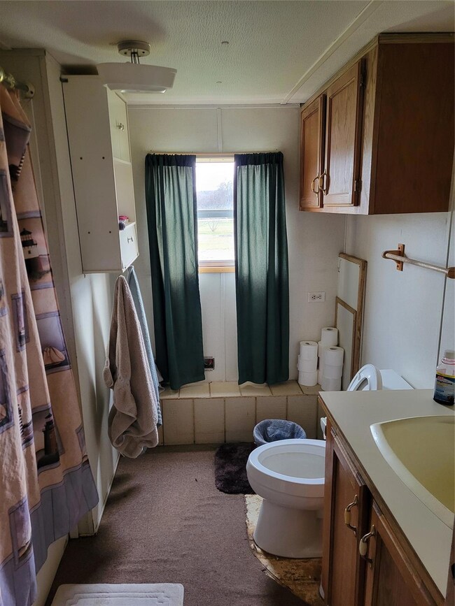 390 Leatherwood Ln, Poolville, TX 76487 - photo 5