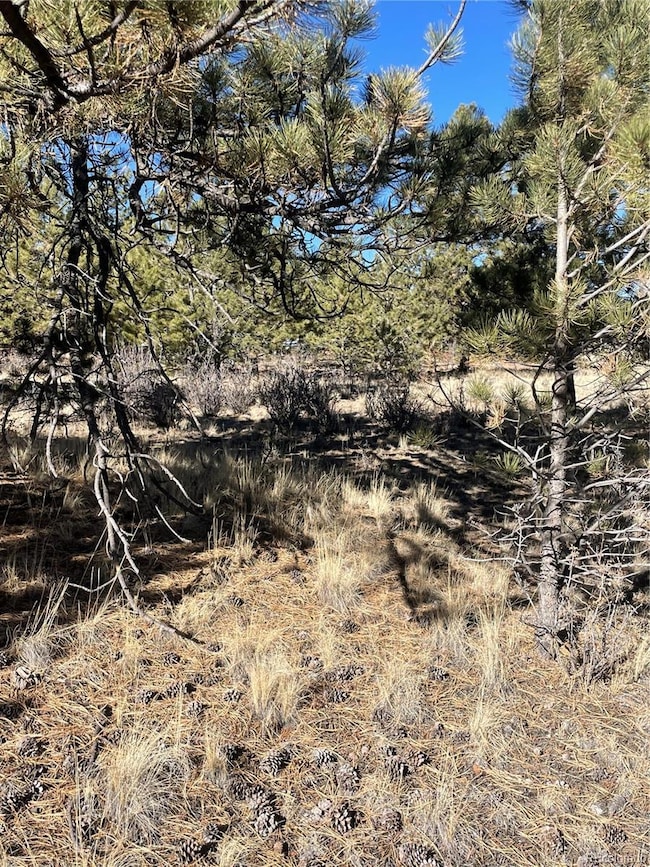 00 Oak St, Hartsel, CO 80449 - photo 4