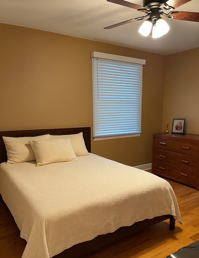 439 N Elm St, Hillside, IL 60162 - photo 4