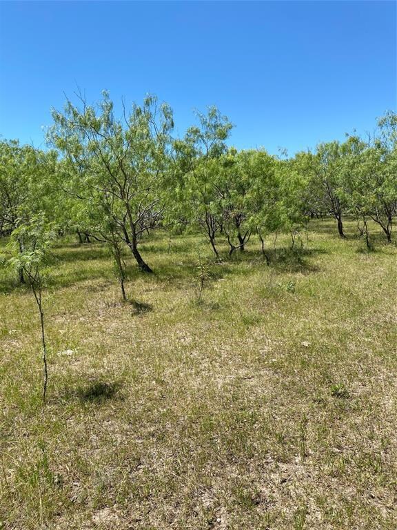 Lot 10 TBD Fm 1181, Ennis, TX 75119 - photo 6
