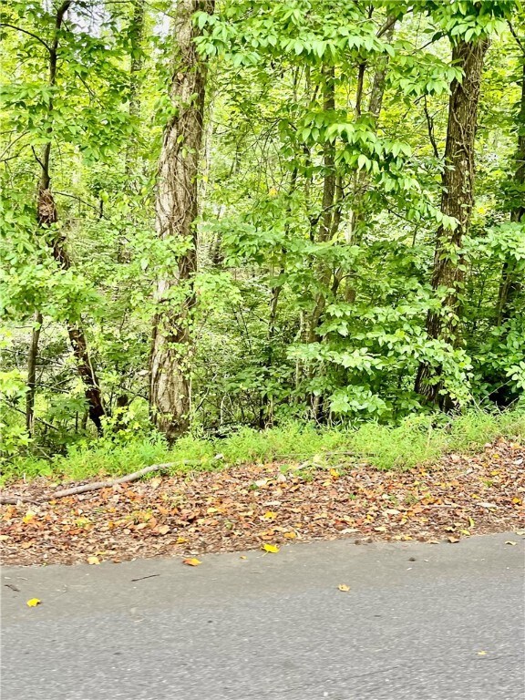 00 Forest Hills Dr, Williamston, SC 29697 - photo 2