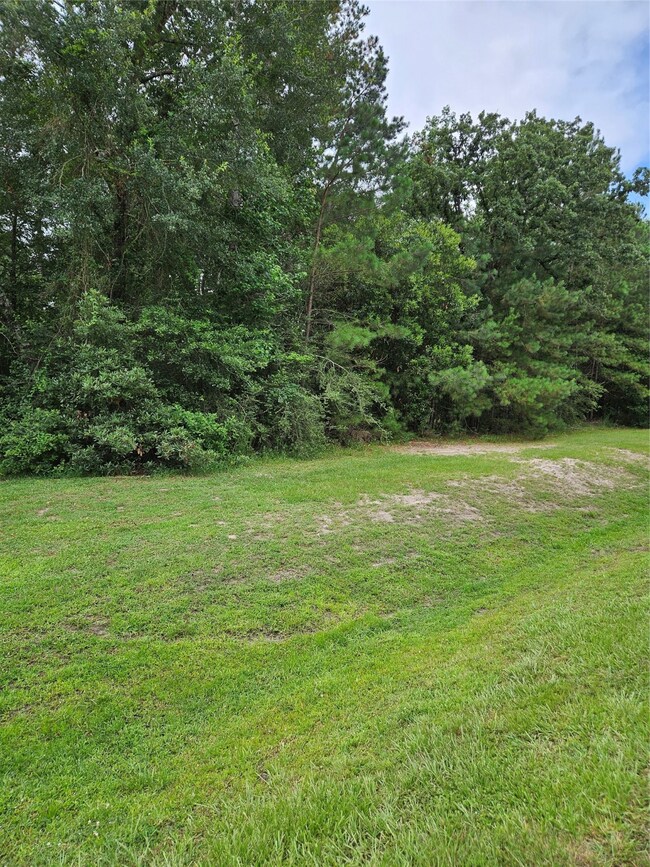 27506 Buena Way, Spring, TX 77386 - photo 3