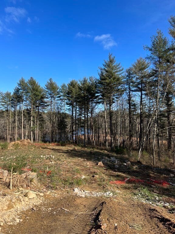 20 Goodwin Dr, Foxboro, MA 02035 - photo 5