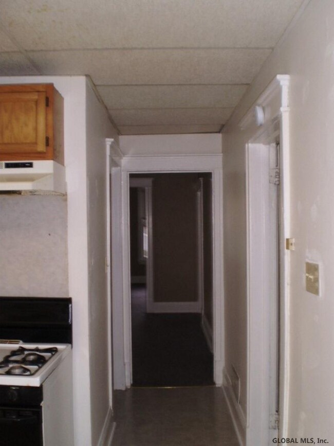 10 Hurlbut St, Albany, NY 12209 - photo 4