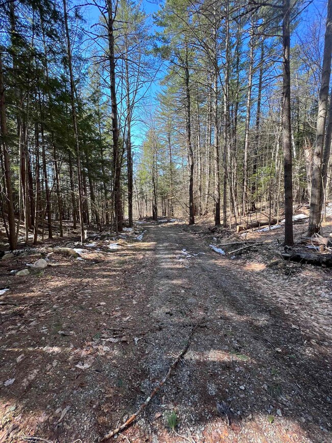 0 Timberline unit 3 4951963, Bartlett, NH 03812 - photo 3