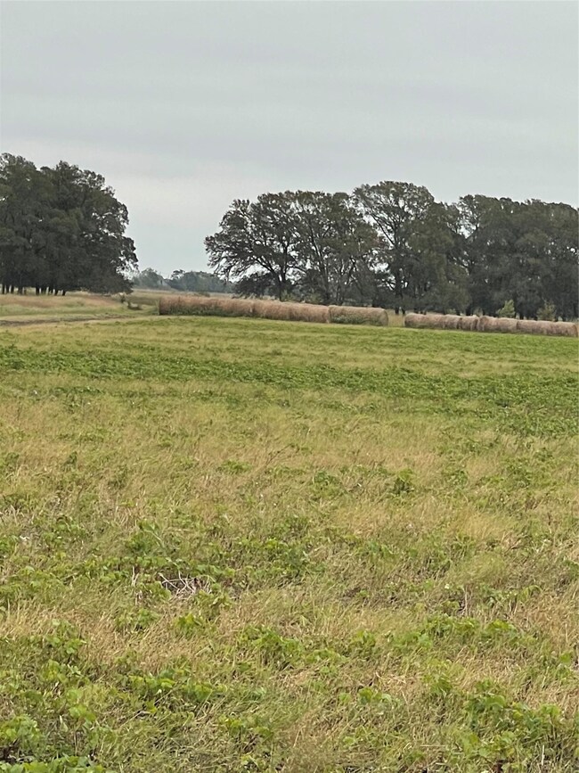 4214 Engle Rd, East Bernard, TX 77435 - photo 4