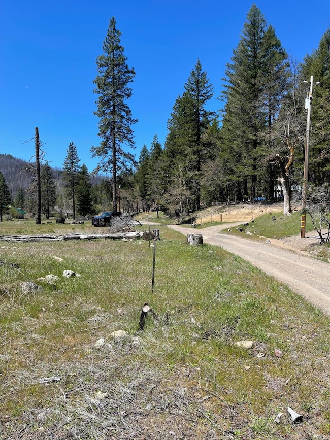 300 Cedar Gap Rd, Ruth Lake, CA 95526 - photo 2