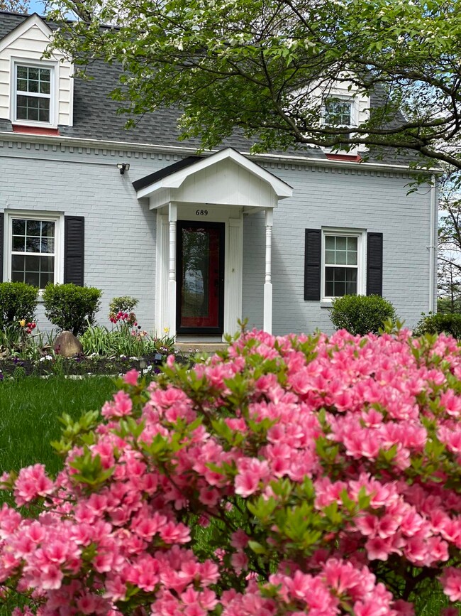 A Cape Cod Cottage in The City
