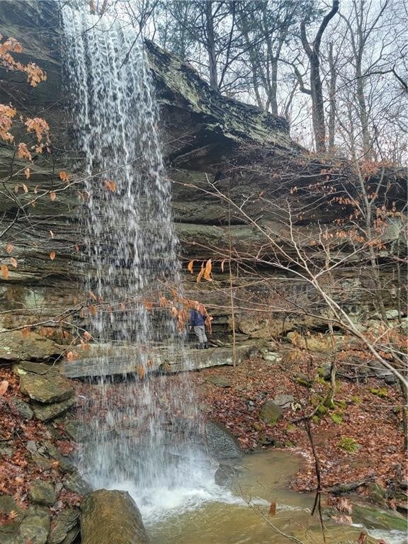 Tract A Madison Cr 6021, Elkins, AR 72727 - photo 4