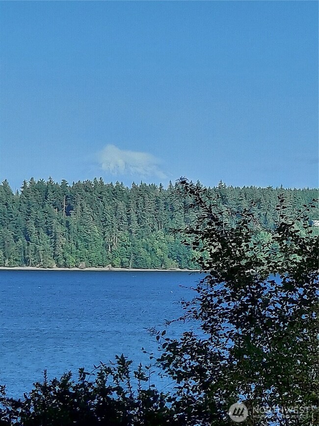 8213 159th Ave SW, Longbranch, WA 98351 - photo 7