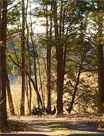 0 Railroad Ave unit 1705230, Shelbyville, TN 37160 - photo 7