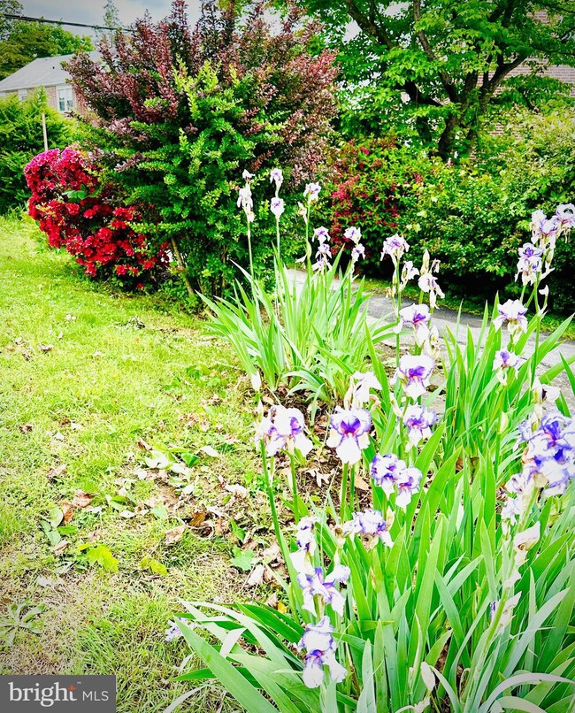 220 Pilgrim Ln unit FIRST FLOOR, Drexel Hill, PA 19026 - photo 2