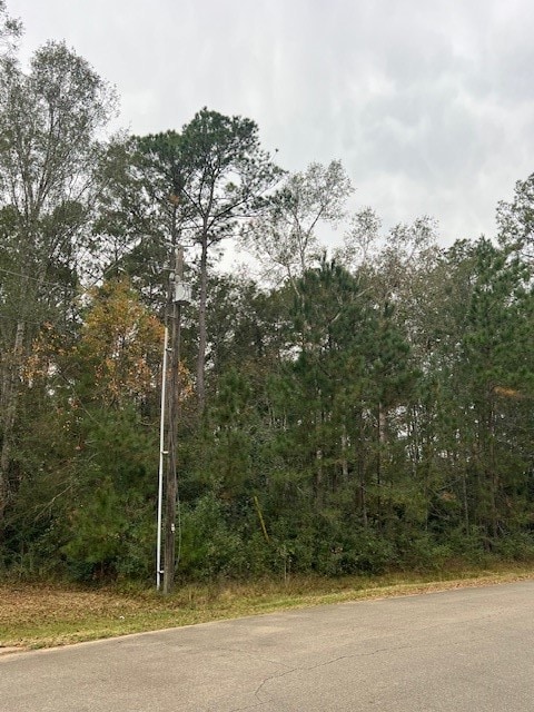 27702 Colapis Dr, Splendora, TX 77372 - photo 3