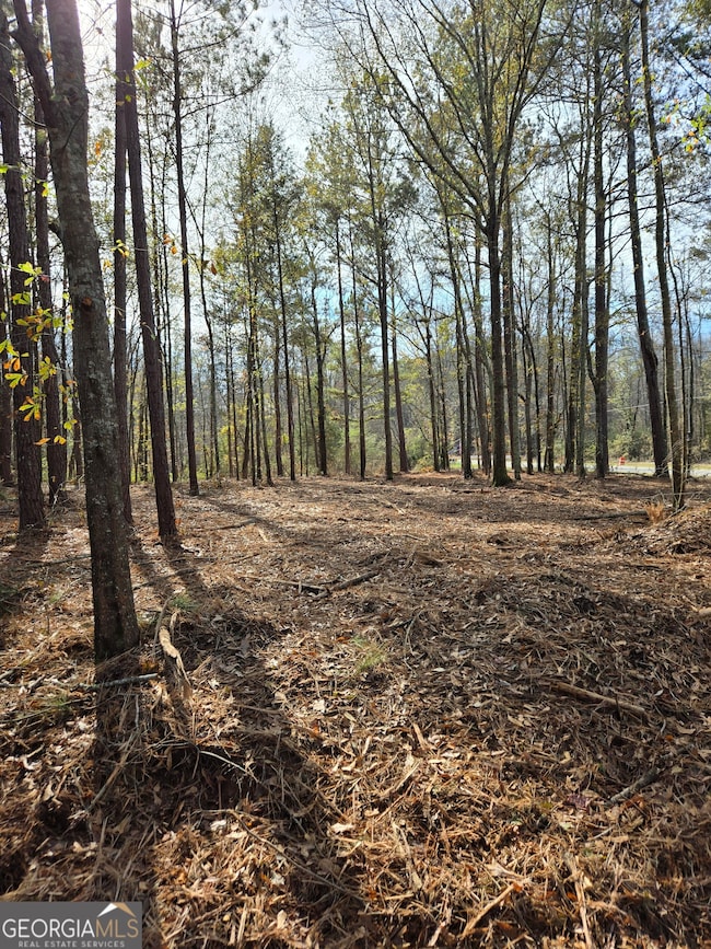 0 Yatesville Rd unit 10650403, Barnesville, GA 30204 - photo 3