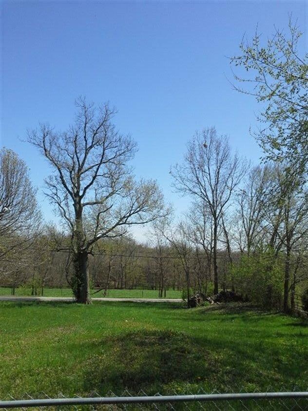 541 Keene Troy Pike, Versailles, KY 40383 - photo 4