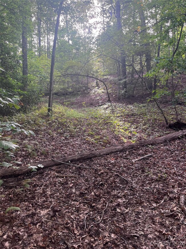 0 Shady Bark Ln unit 40 CAR4070380, Rutherfordton, NC 28139 - photo 5