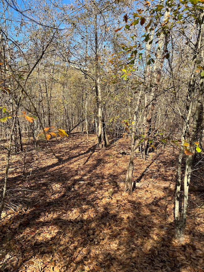 492 Southbound Rd, Swansea, SC 29160 - photo 6