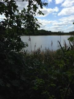 39 Rosepoint Ave, West Wareham, MA 02576 - photo 6