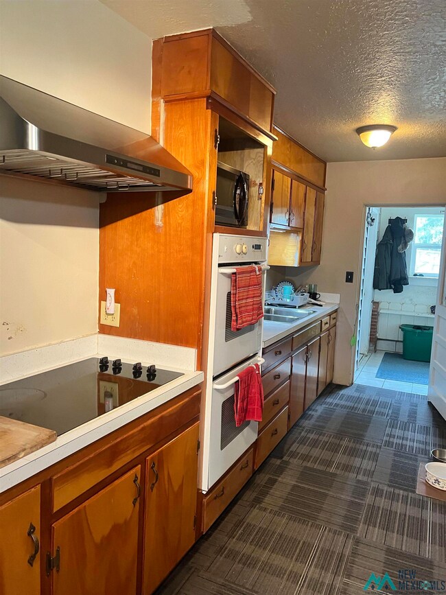 1725 N Thomason Rd, Carlsbad, NM 88220 - photo 6