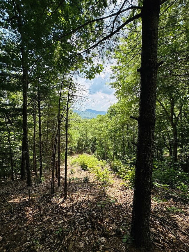 Lot #15 View Ridge Trail, Murphy, NC 28906 - photo 6
