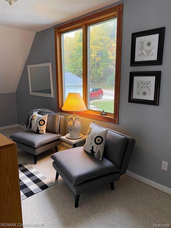 7527 Cove Rd, Hale, MI 48739 - photo 5