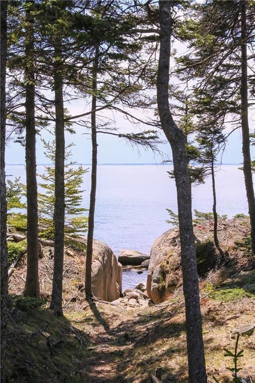 A special spot on the shoreline in...