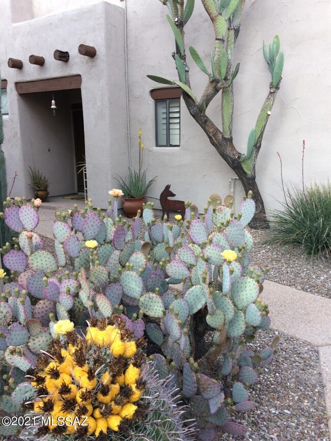 4254 N Rillito Creek Place, Tucson, AZ 85719 - photo 4