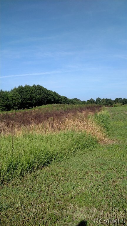 004 Holdsworth Rd, Prince George, VA 23842 - photo 3