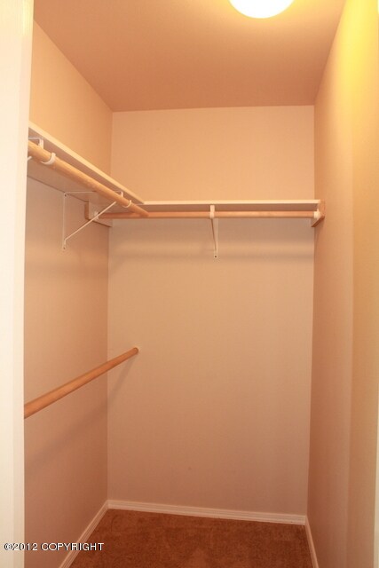 Master Walk-in Closet