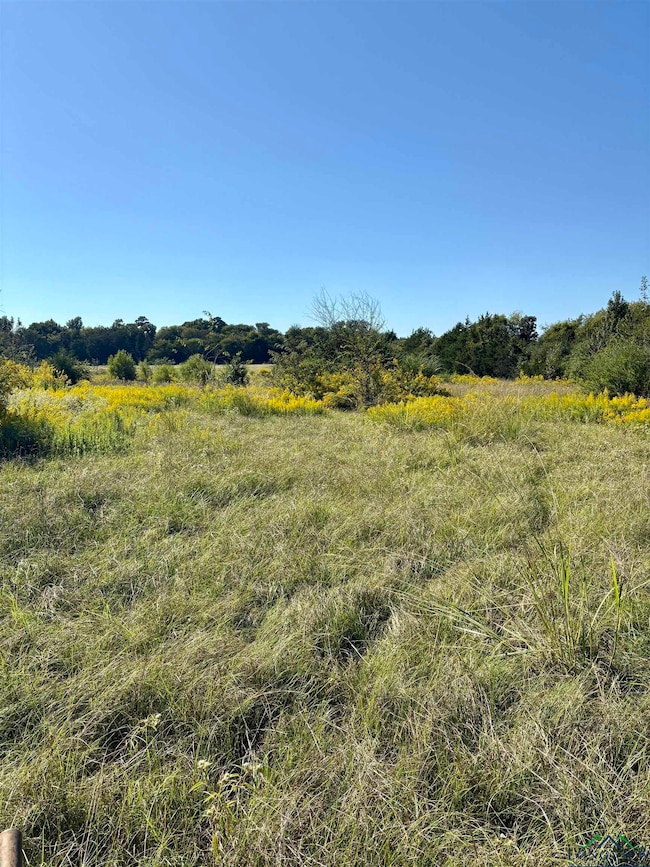 000 County Road 3414, Jacksonville, TX 75766 - photo 2