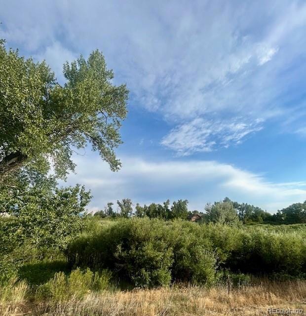 1105 Little River Ln unit 83, Poncha Springs, CO 81242 - photo 6