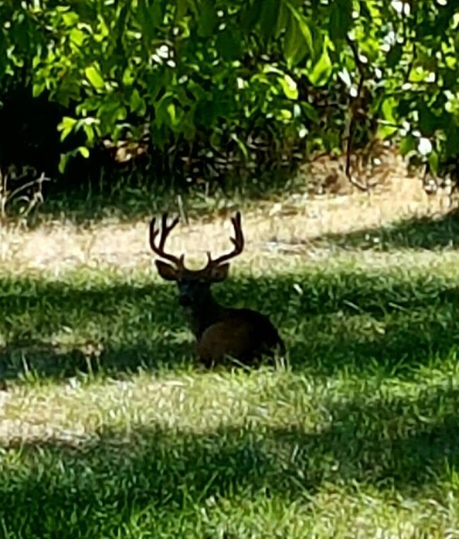 Additional Photo