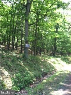 3 Little Cacapon Mtn Rd, Slanesville, WV 25444 - photo 2