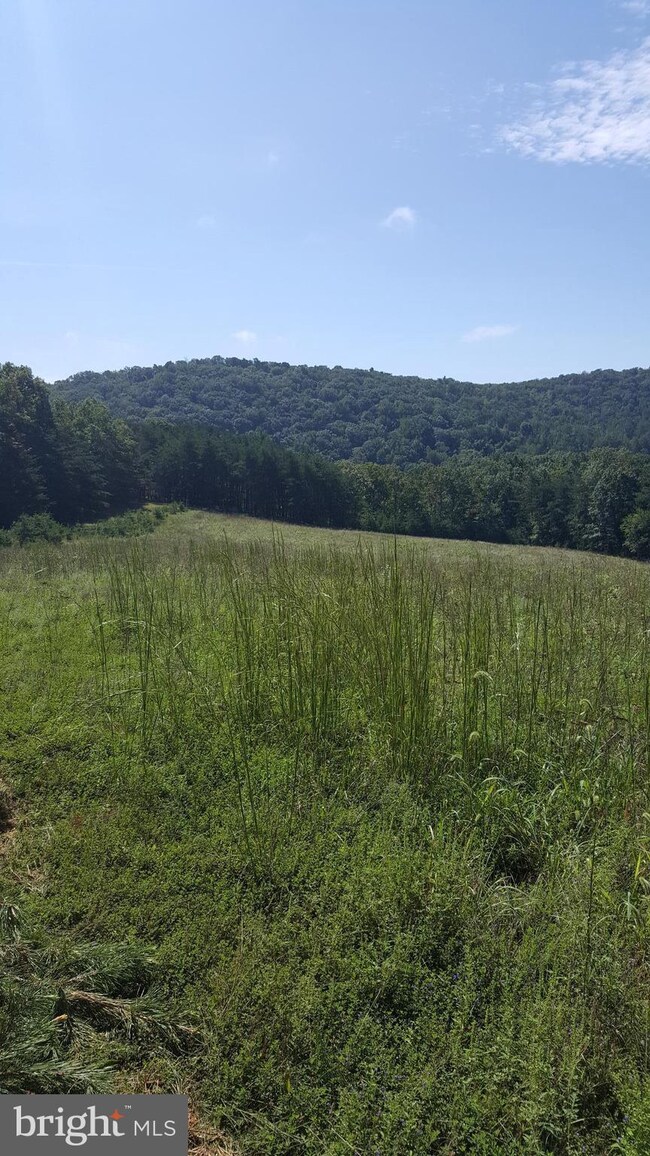 0 Dellinger Gap Rd unit 1002764866, Edinburg, VA 22824 - photo 7