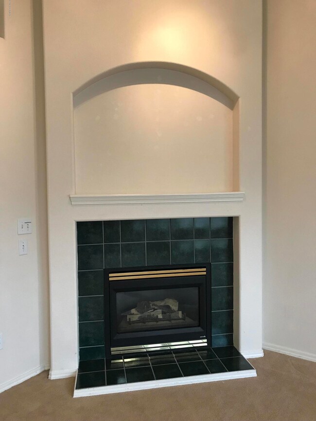 Gas Fireplace