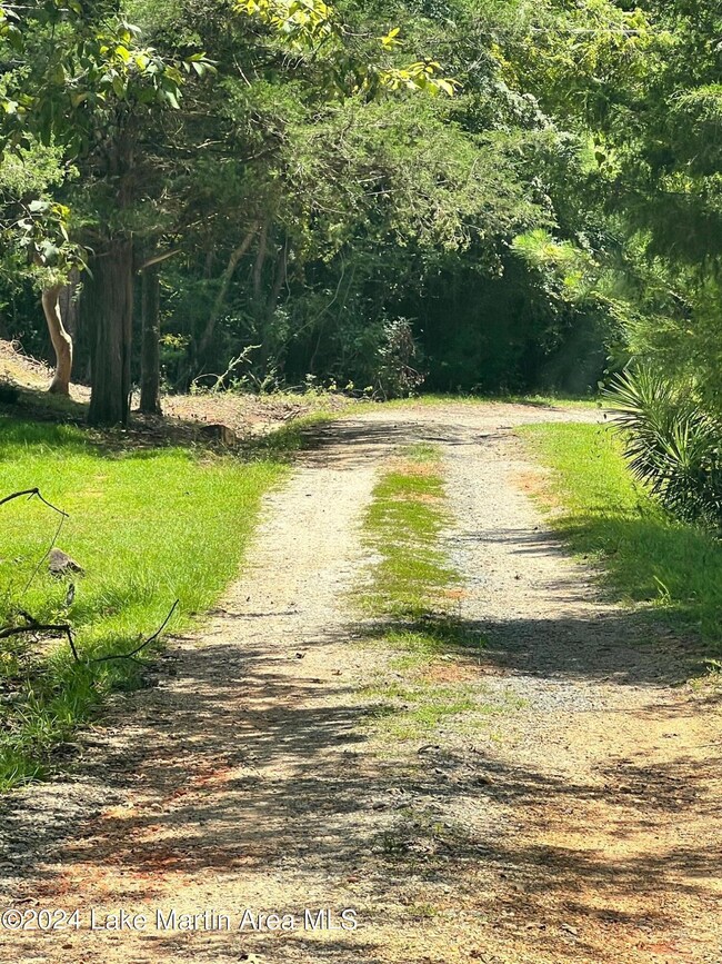 0 Manoy Dr, Jacksons' Gap, AL 36861 - photo 3