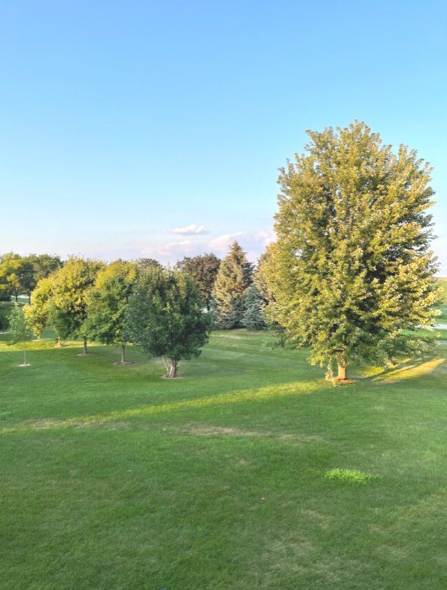 4535 Wayside Ct, Oswego, IL 60543 - photo 3