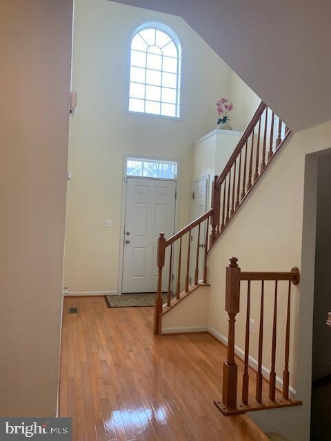 13771 Lowe St, Chantilly, VA 20151 - photo 3