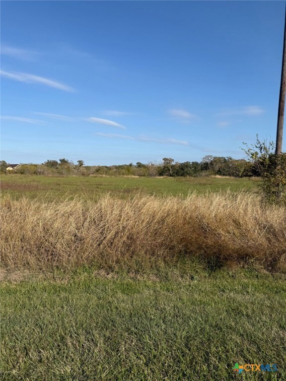 000 River Hollow Way, Blessing, TX 77465 - photo 6