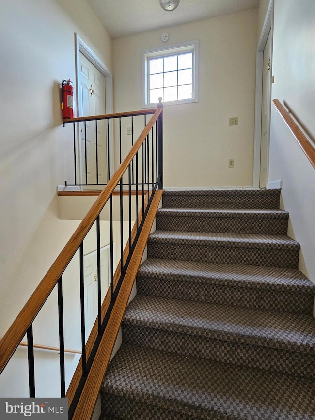 1310 Ramseur Ln, Winchester, VA 22601 - photo 5